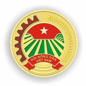 HUY HIỆU 01